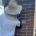Beekeeper reaching into brick for Chimney Honeybee Removal