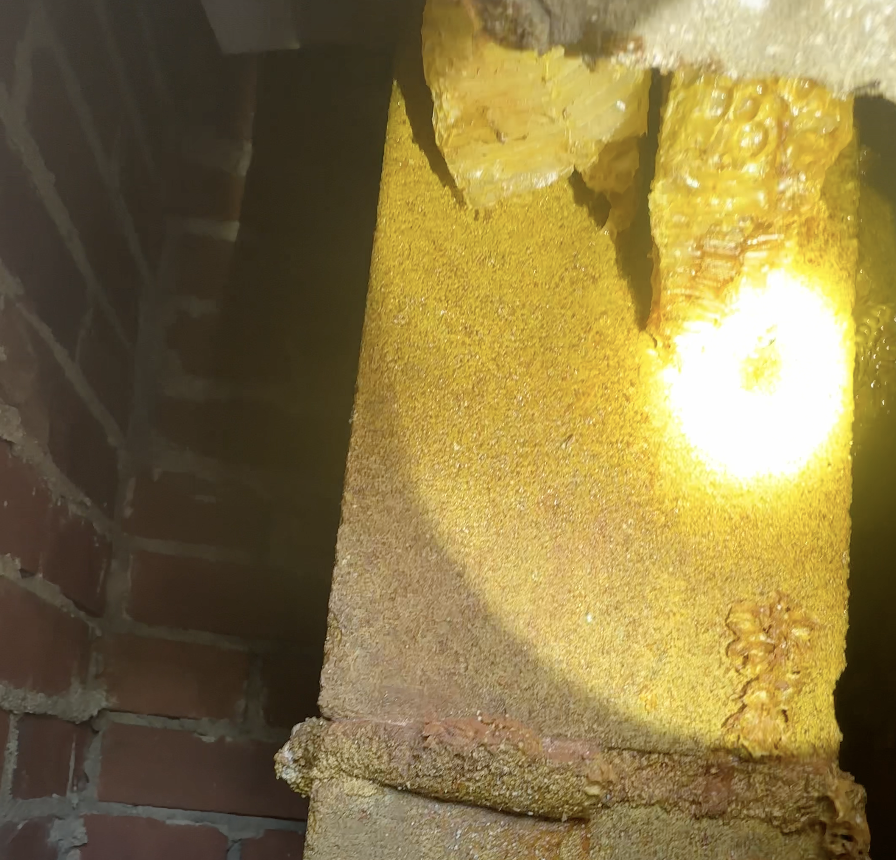 honeycomb found inside of Chimney during Honeybee Removal