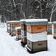 Beehives in the winter ohio