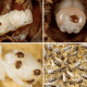 1. Queen bee larva in hive cell, healthy bee development, beekeeping, hive maintenance.