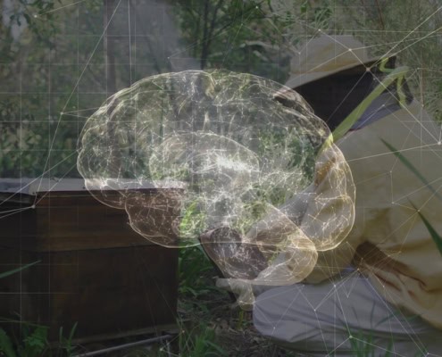Neural network overlaid on a beekeeper inspecting hive in nature, emphasizing innovative beekeeping and mindfulness.