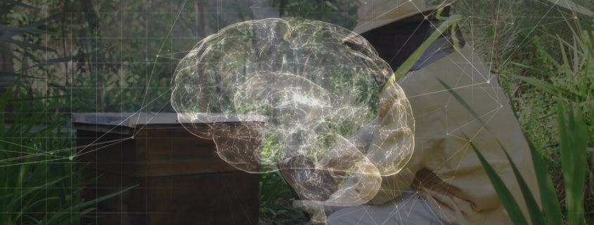 Neural network overlaid on a beekeeper inspecting hive in nature, emphasizing innovative beekeeping and mindfulness.