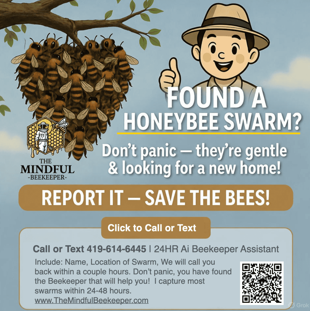 Bee swarm hanging from tree branch, honeybees, beekeeping, honeybee conservation.