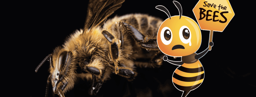 Busy honeybee with cartoon bee mascot holding "Save the Bees" sign for pollinator conservation awareness.