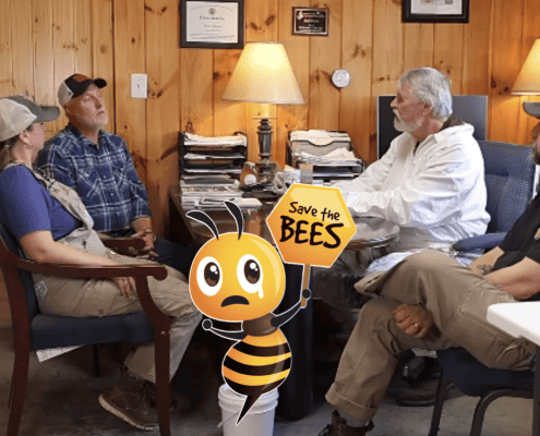Healthy beekeepers discussion on bee conservation and sustainable beekeeping practices at The Mindful Beekeeper.
