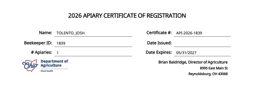 Beekeeper tending to honeybees in a vibrant apiary setting.