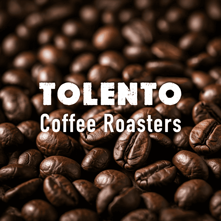 Close-up of roasted coffee beans with TOLENTO Coffee Roasters branding.