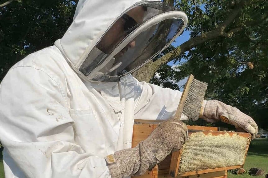 Beekeeper in protective suit examining a honey bee hive outdoors.