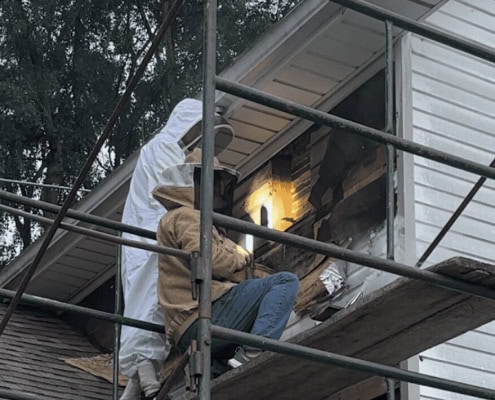 Beekeeper safely removing honeybees from a house exterior.