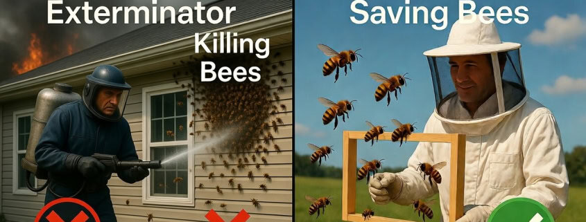 Beekeeper Protecting Bees from Removal