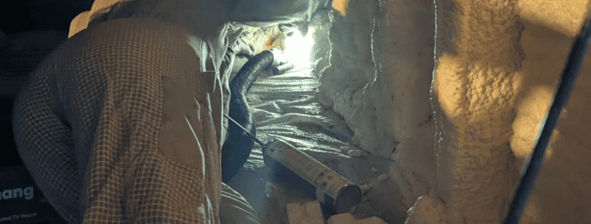 seneca county ohio beekeeper bee removal service