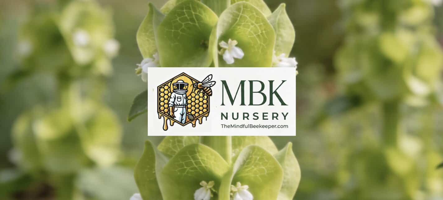 Screenshot Bright green plant with small white flowers at MBK Plant & Tree Nursery, emphasizing sustainable gar.