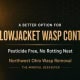 Yellowjacket wasp control with pesticide-free, non-rotting nest removal in Ohio.