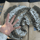 Defiance Wasp Hive Removal
